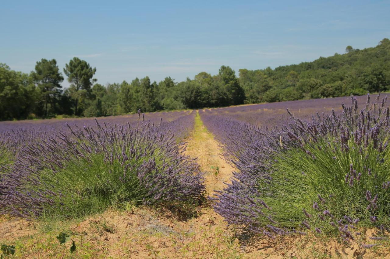 Les Yourtes De Provence Saint-Paulet-de-Caisson Luaran gambar